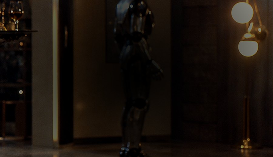 Scarab Sentinel black and silver estate robot